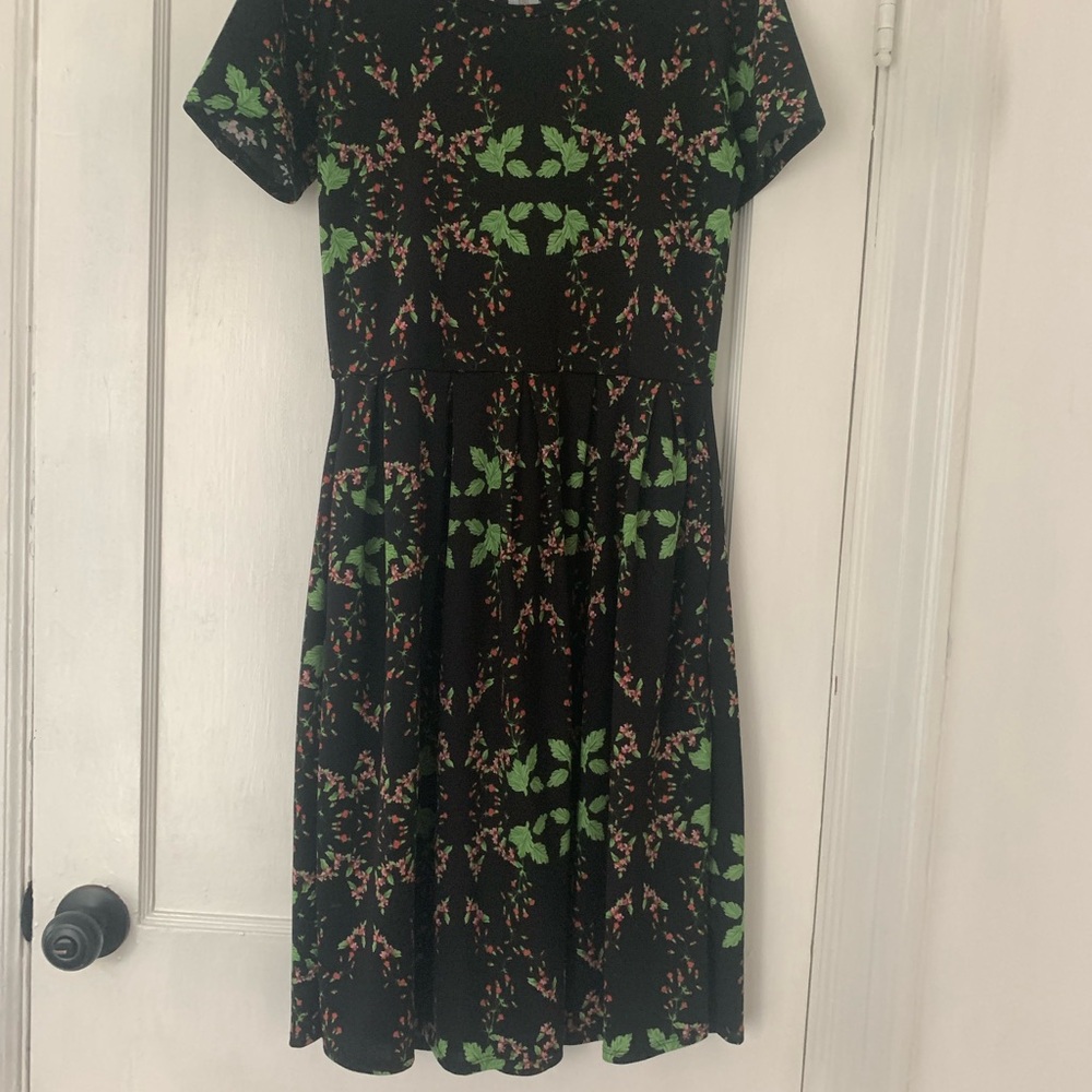 Lularoe Floral Black and Green Dress